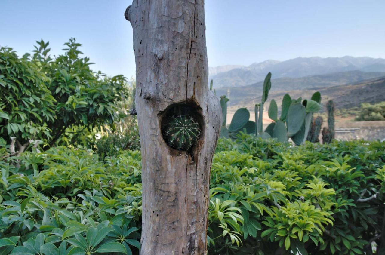 Villa Athina Megala Chorafia Buitenkant foto